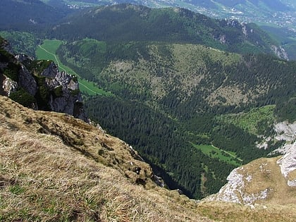 grzybowiec tatra national park