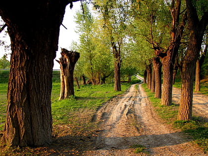 kazimierz landscape park