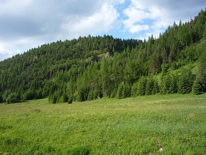 boczan tatrzanski park narodowy
