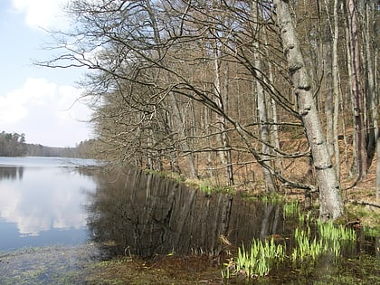 Jezioro Lubogoszcz