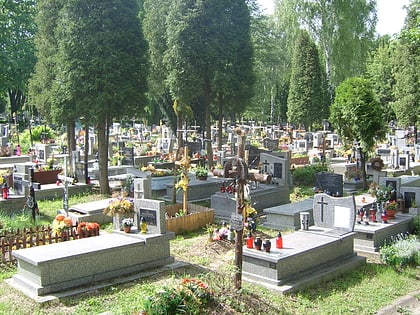 cmentarz kobierzyn maki czerwone krakow