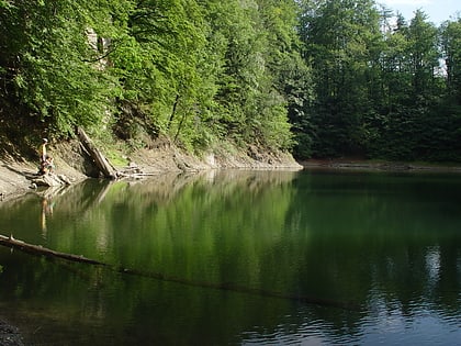 rezerwat przyrody jeziorko daisy