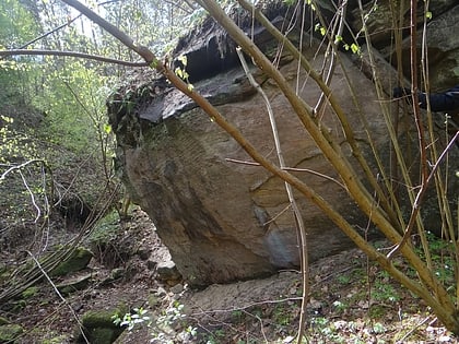 Rezerwat Skały w Krynkach