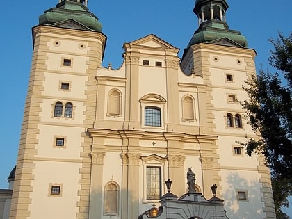 cathedrale de lassomption et saint nicolas de lowicz