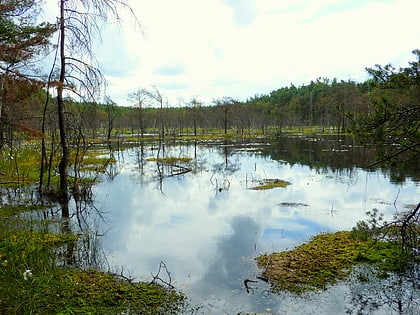 rezerwat przyrody bagno bocianowskie