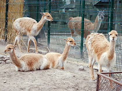 ogrod zoologiczny lodz