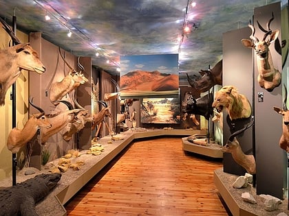 museum of hunting and horsemanship varsovia