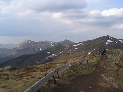 gora halicz bieszczadzki park narodowy