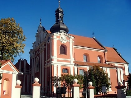 Kościół Wniebowzięcia Najświętszej Maryi Panny w Kłodawie