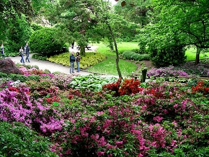 Arboretum de Wojsławice