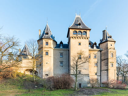 chateau de goluchow