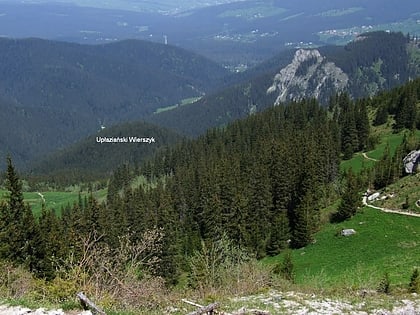 adamica tatra nationalpark