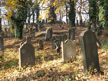 cmentarz zydowski kirkut skwierzyna