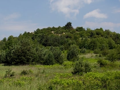 gora ossona czestochowa
