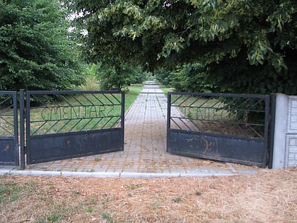 Cmentarz jeńców wojennych i internowanych pod Strzałkowem