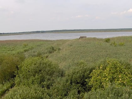 jezioro swidwie