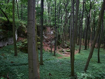 rezerwat przyrody sokole gory