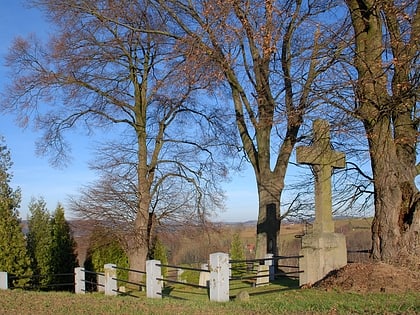 cmentarz wojenny nr 229 skurowa
