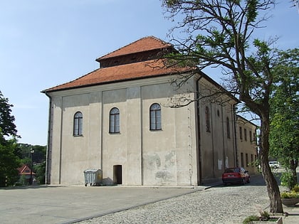 synagoga sandomierz