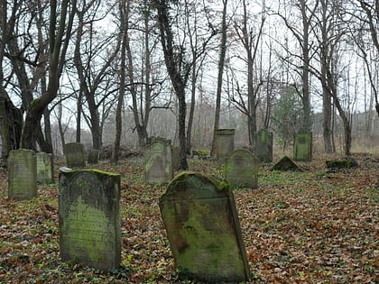 cmentarz zydowski w jastrowiu jastrowie