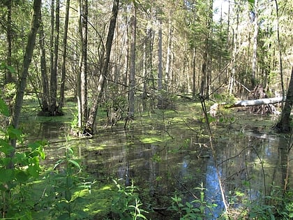 Rezerwat przyrody Jałówka