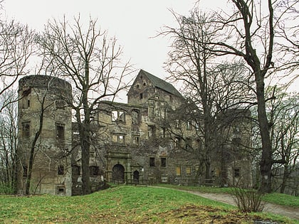 Burg Świny
