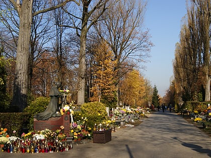 cmentarz rakowicki wojskowy cracovia