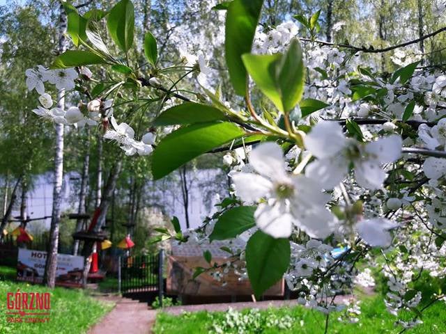 park linowy gorzno