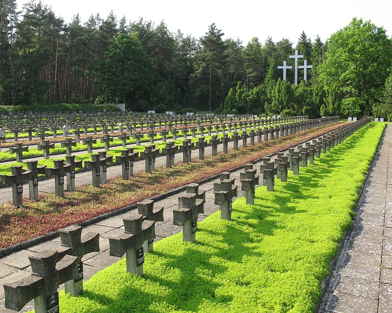 cmentarz w palmirach kampinoski park narodowy
