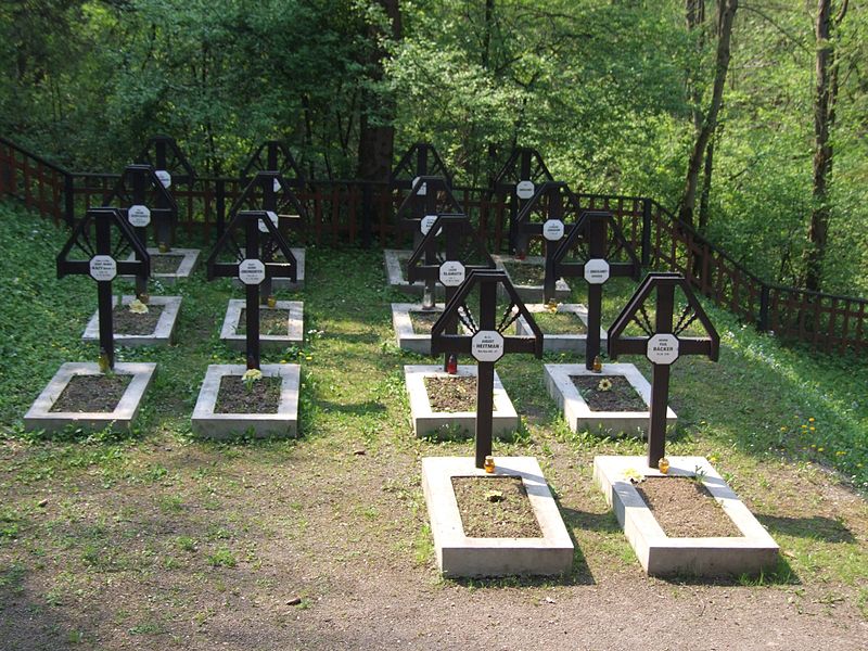 Cmentarz wojenny nr 365