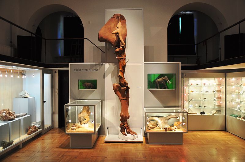Museum of the Earth of the Polish Academy of Sciences