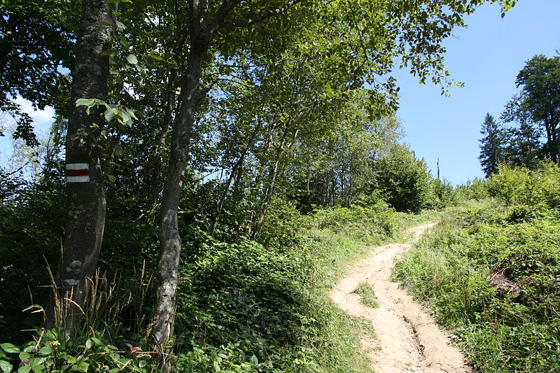 Main Beskid Trail