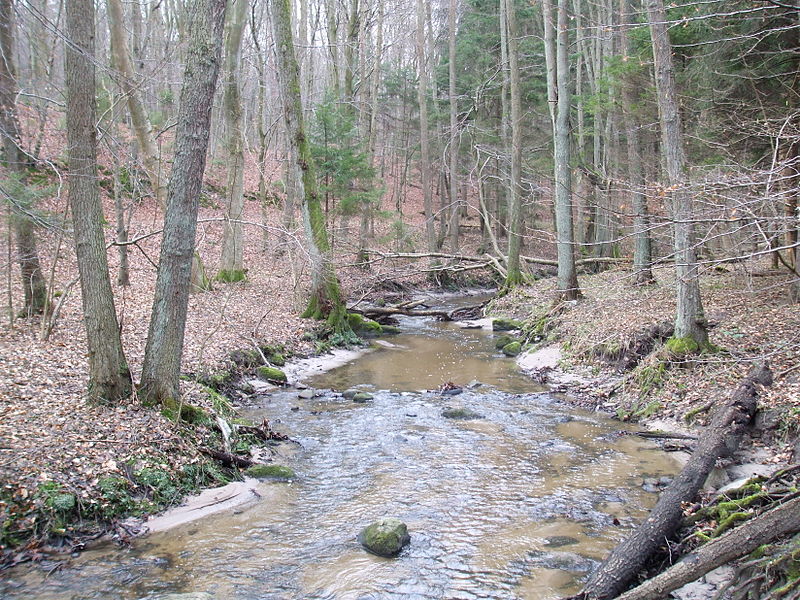 Naturschutzgebiet Kacze Łęgi