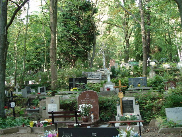 Cmentarz Witomiński
