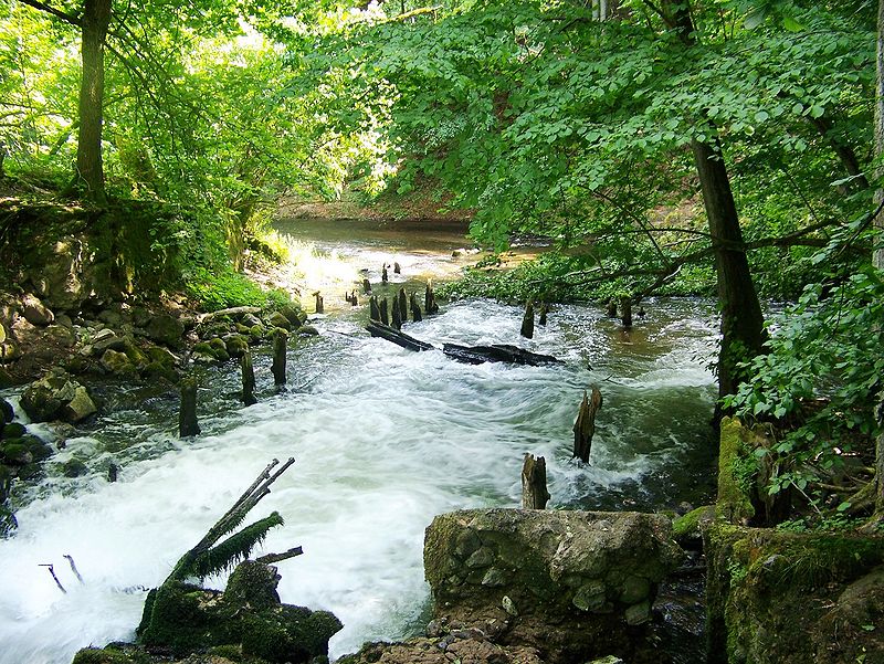 Parc national de Drawa