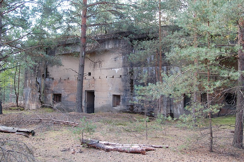 Bory Dolnośląskie