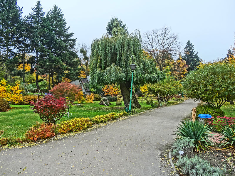 Botanic Garden of Casimir the Great University