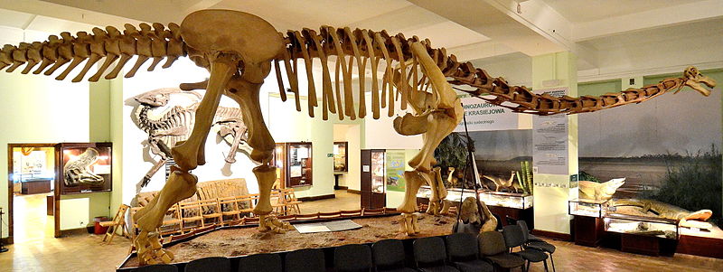 Muzeum Ewolucji Instytutu Paleobiologii Polskiej Akademii Nauk