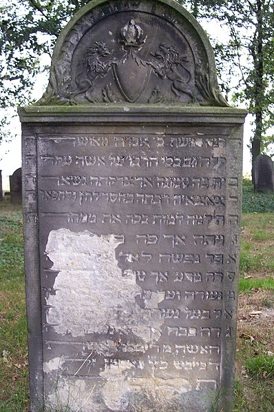 Cmentarz żydowski w Wielowsi