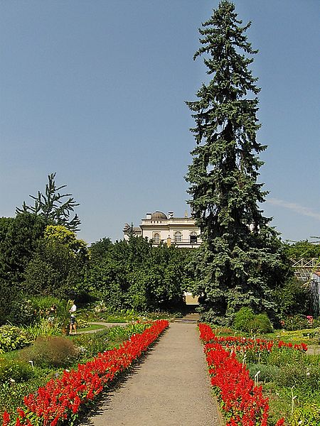 Jardín botánico de la Universidad de Cracovia