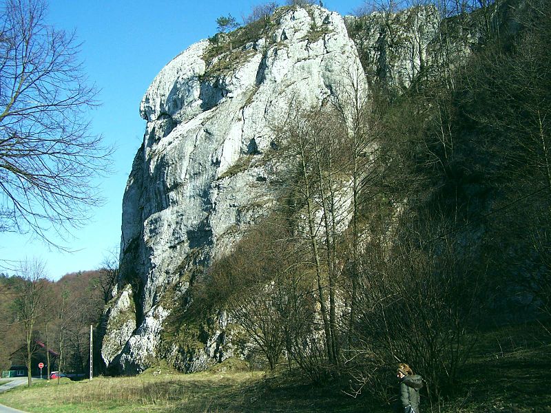 Rezerwat Zimny Dół