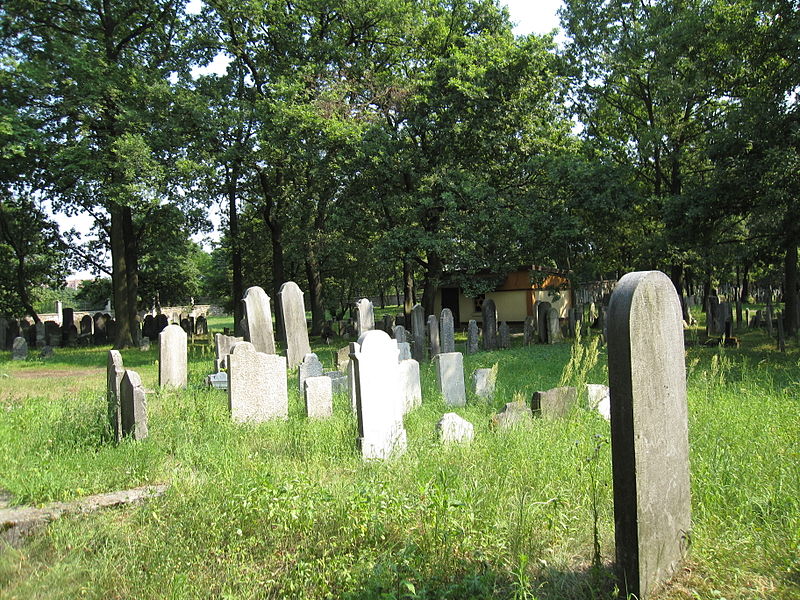 Cmentarz żydowski w Chrzanowie