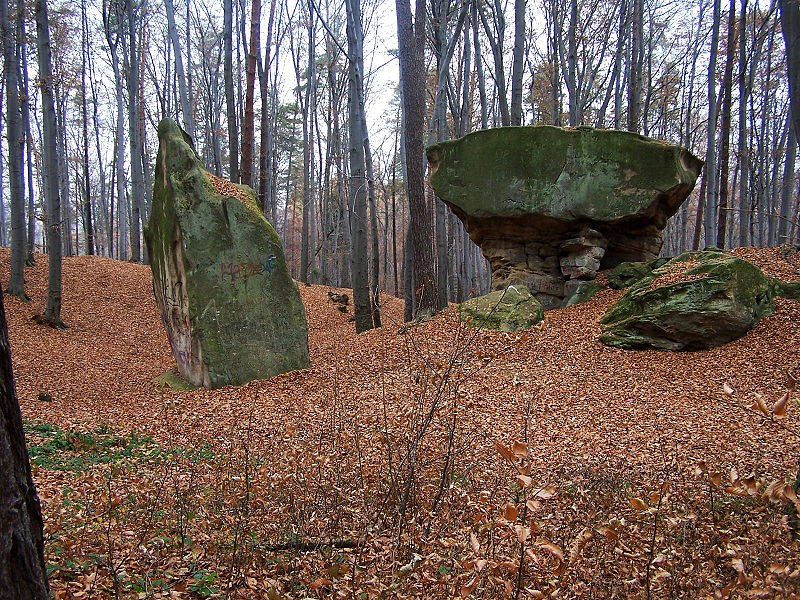 Rezerwat Kamień-Grzyb