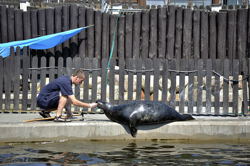 Seal Sanctuary