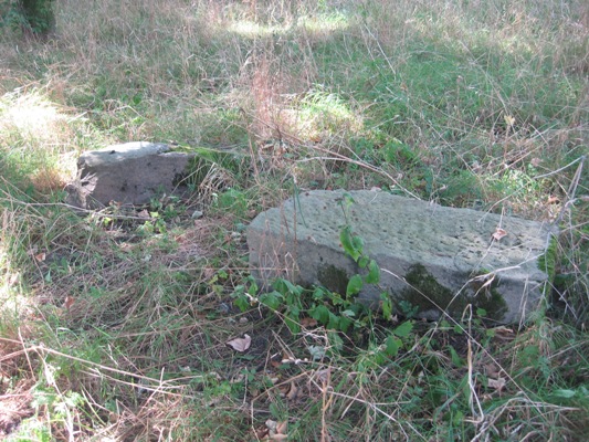 Cmentarz żydowski w Wiślicy