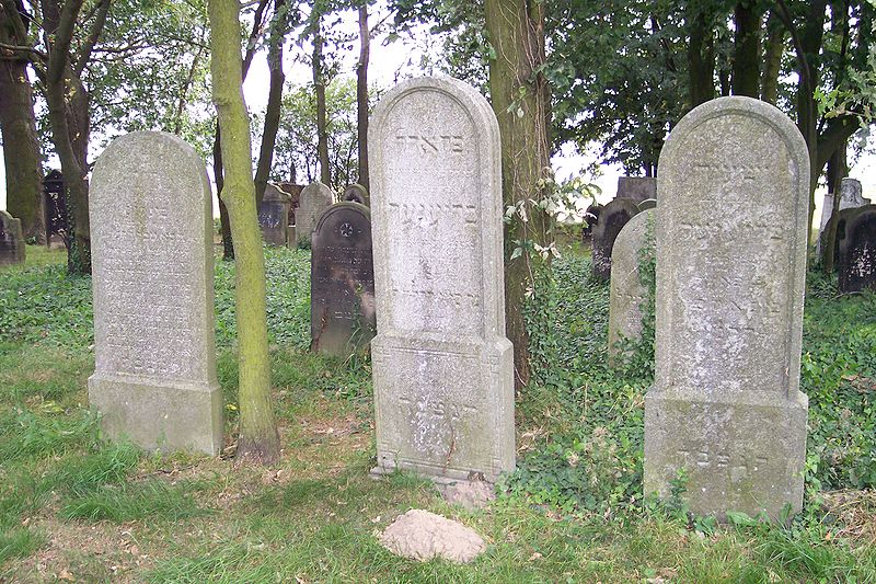 Cmentarz żydowski w Wielowsi