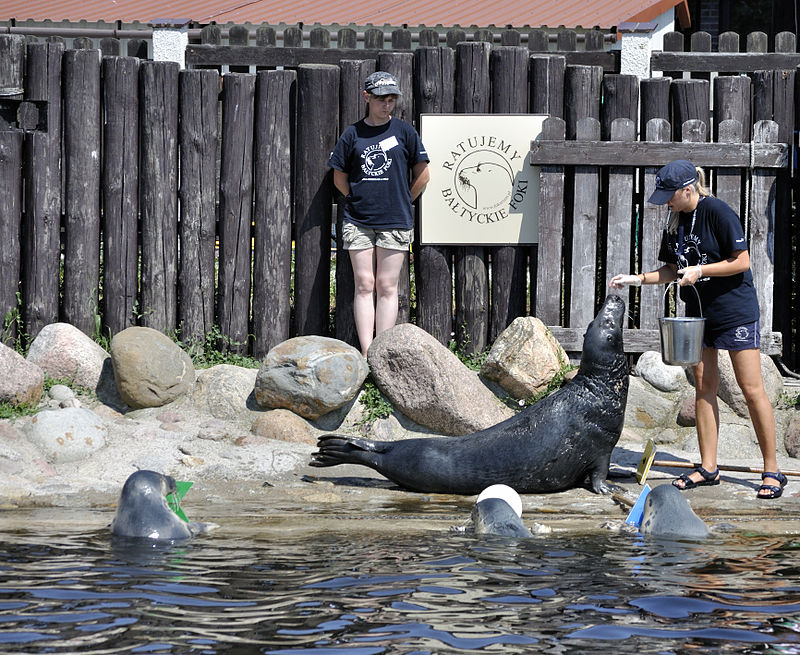 Seal Sanctuary in Hel