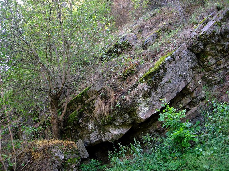 Rezerwat przyrody Wąwóz w Skałach