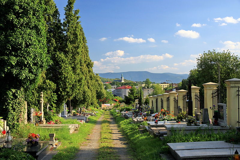 Kommunaler Friedhof
