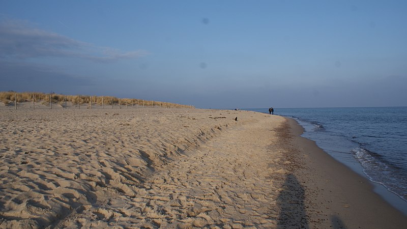 Plaża Cypel